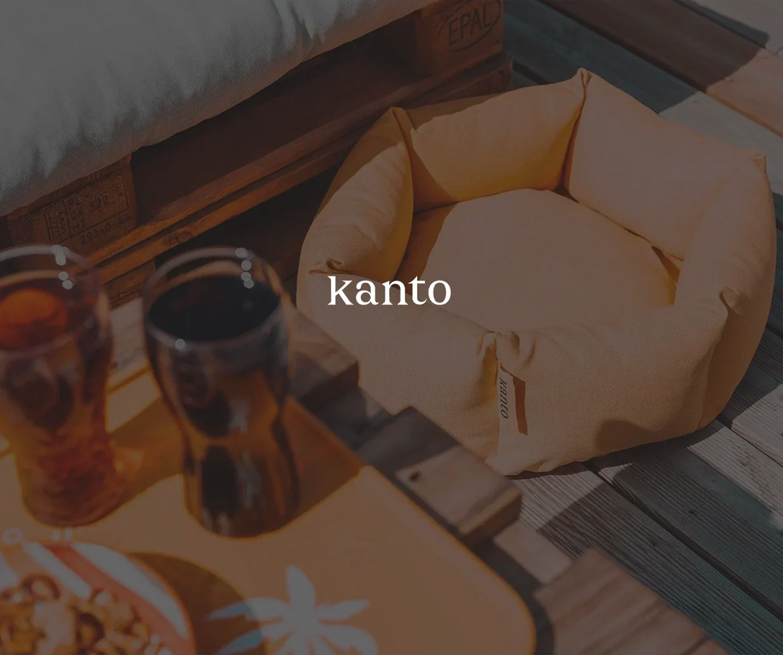 Nos Collabs Création de Contenu - Kanto - The Mimari Group
