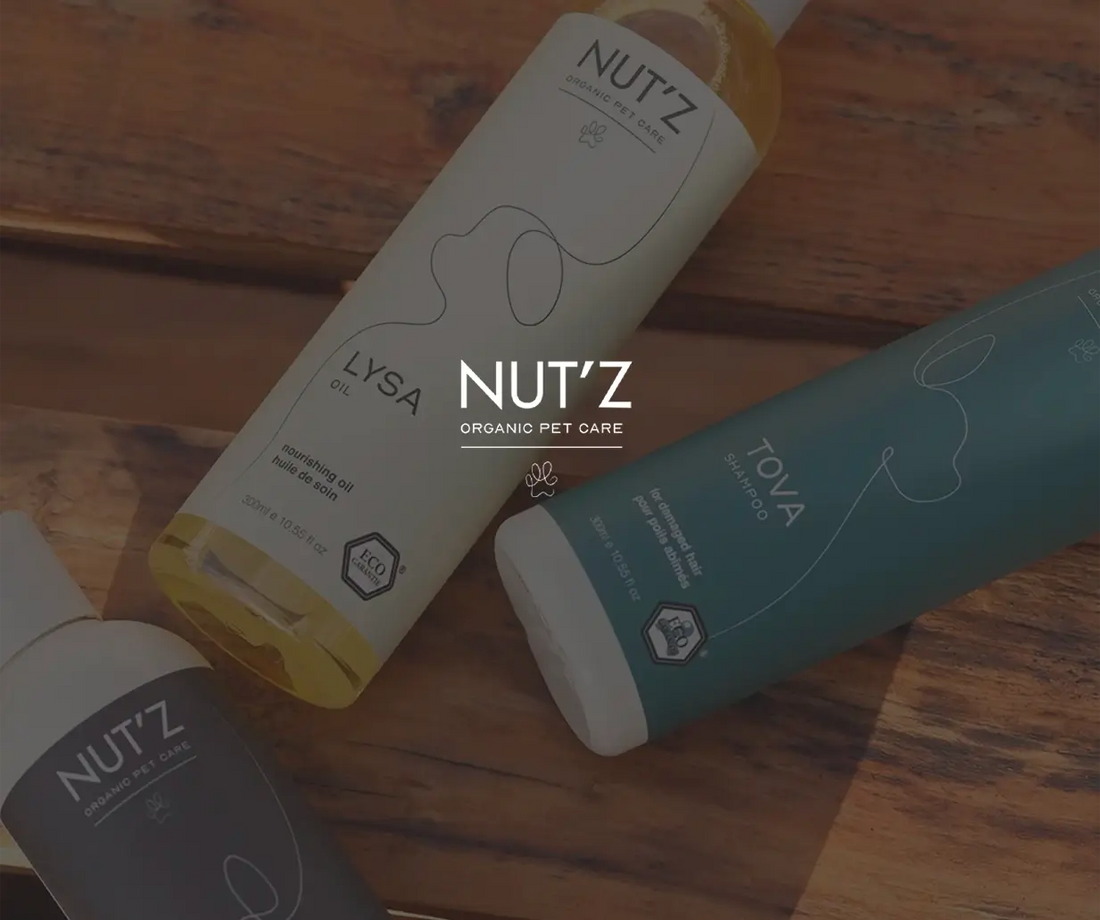 Nos Collabs Création de Contenu - Nut'z Pet Care - The Mimari Group